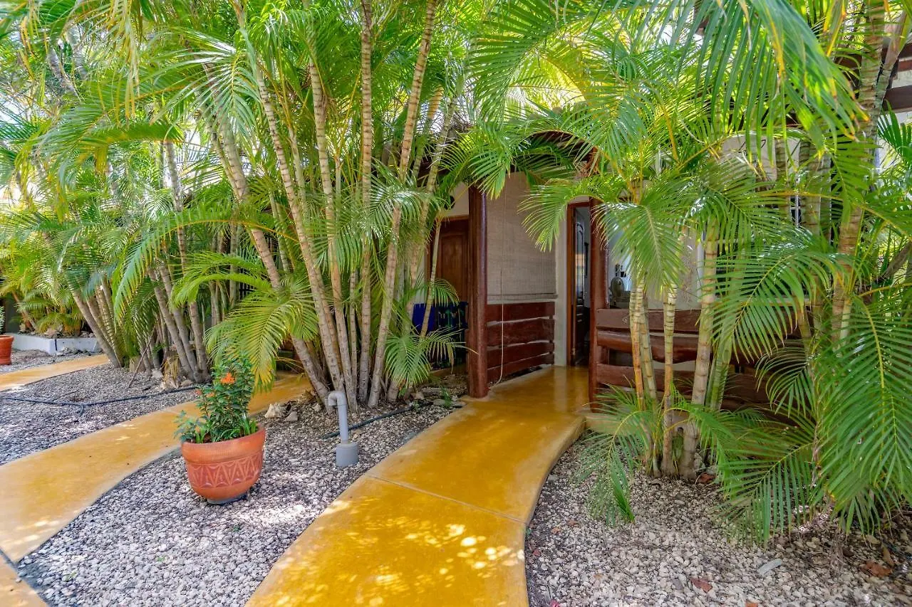 Hotel The Dive Hut - Boutique Apartments Playa